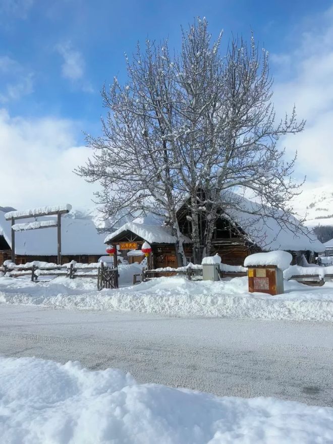 10口碑榜：行程落实率96%×零增项承诺