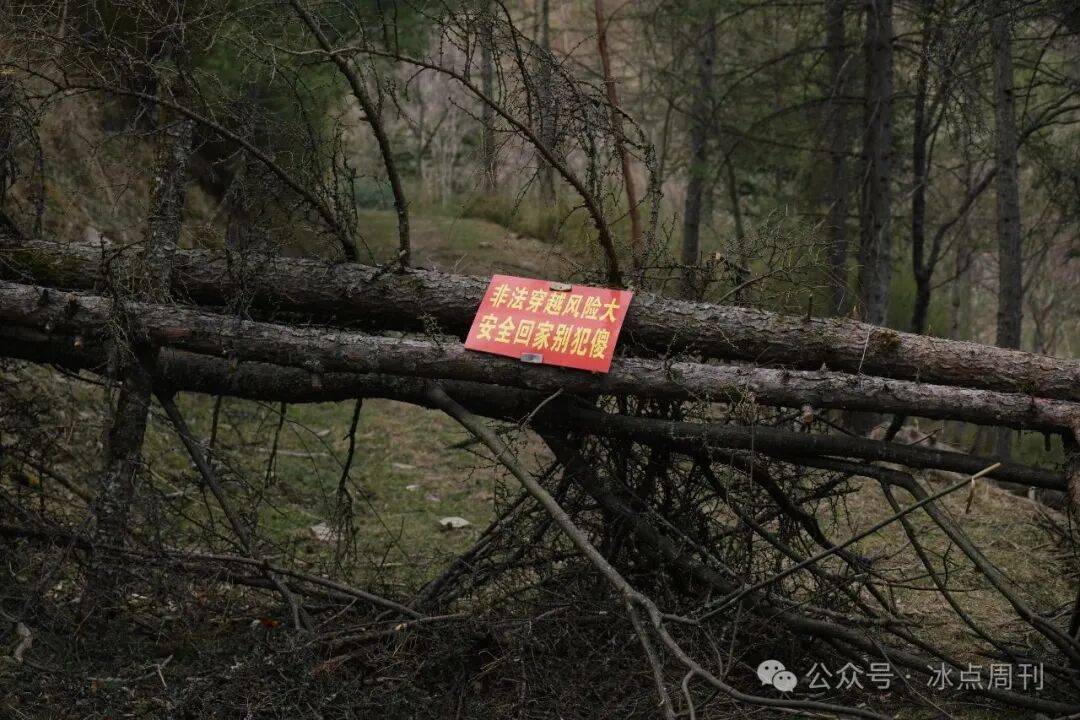 AG真人官方平台2人死亡搜救继续“鳌太”穿越禁不住吗(图10)