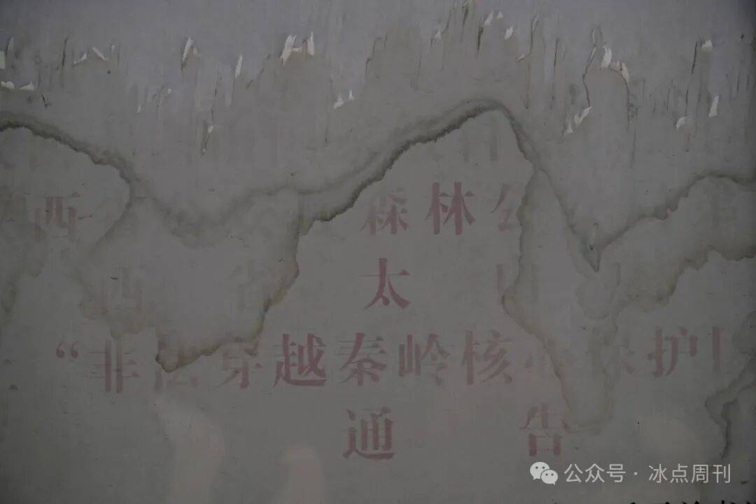 AG真人官方平台2人死亡搜救继续“鳌太”穿越禁不住吗(图12)